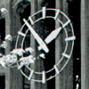 Timeline of Graduate Education